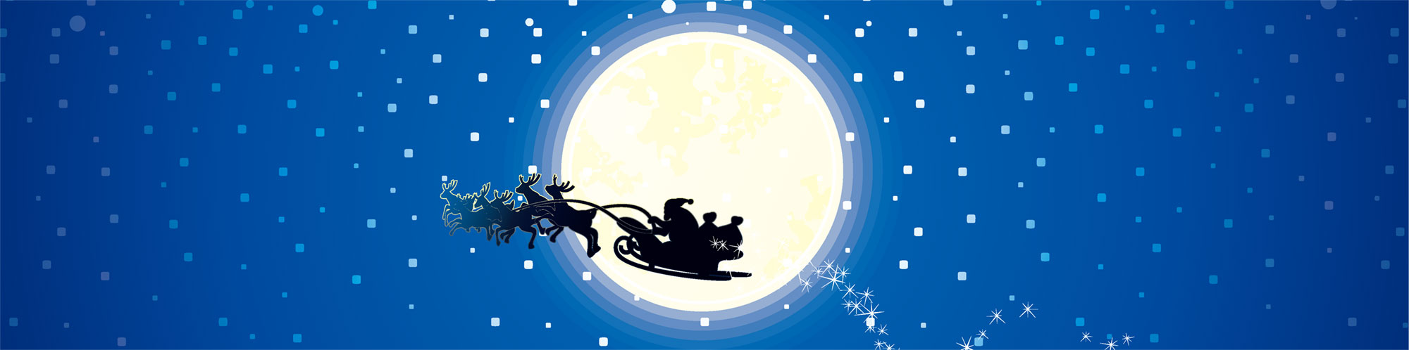 クリスマススペシャルディナー